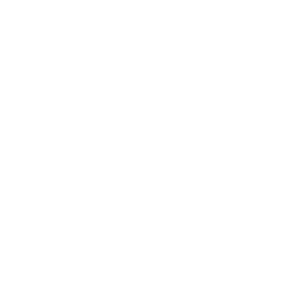 ROOT Physiotherapy London Logo